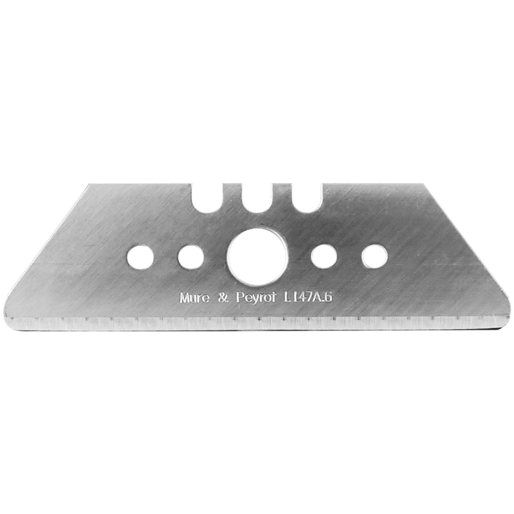 pics/Mure et Peyrot/blades/147A.6/mure-and-peyrot-147a-6-straight-blade-with-large-hole-0-6-mm-01.jpg